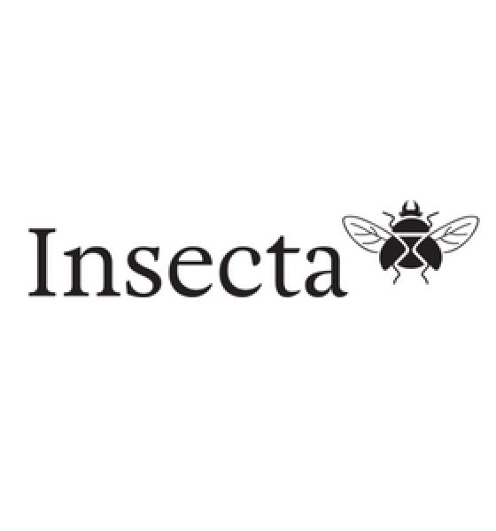 Insecta Shoes